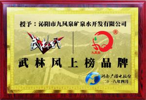 九鳳泉榮獲河南省武林風上榜品牌